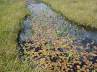 �q�c�W�O�T���������B